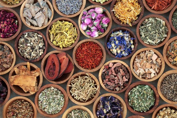 Ayurveda Detox  Panchakarma Services